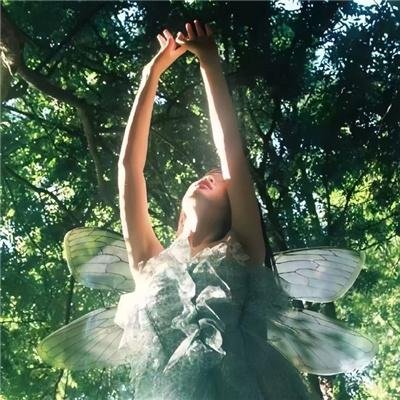 数码宝贝：最后的进化