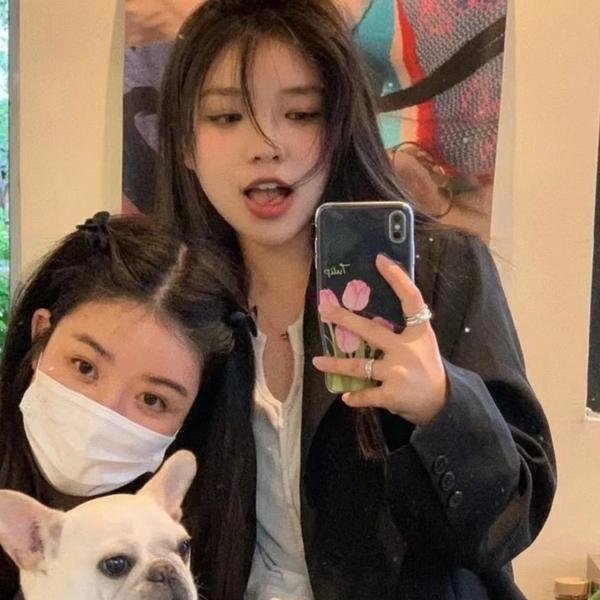 蛊惑海狮闯江湖